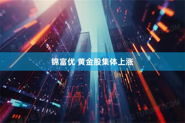 锦富优 黄金股集体上涨