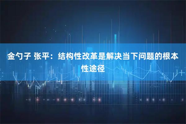 金勺子 张平：结构性改革是解决当下问题的根本性途径