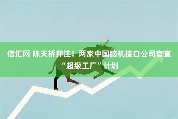 信汇网 陈天桥押注！两家中国脑机接口公司官宣“超级工厂”计划