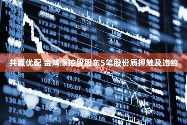 共赢优配 金鸿顺控股股东5笔股份质押触及违约