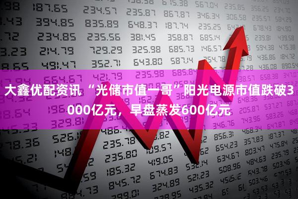 大鑫优配资讯 “光储市值一哥”阳光电源市值跌破3000亿元，早盘蒸发600亿元