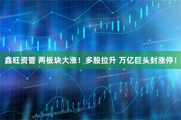 鑫旺资管 两板块大涨！多股拉升 万亿巨头封涨停！