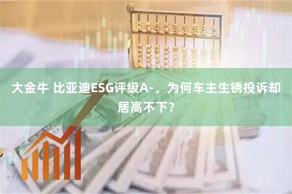 大金牛 比亚迪ESG评级A-，为何车主生锈投诉却居高不下？